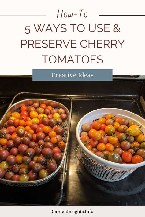 Cherry tomatoes are great for fresh eating, but only up to a point. For the past few weeks, I have been picking close to 10 pounds of cherry tomatoes per day. Keeping up with that volume requires a bit of creativity. Discover 5 ways I've been using and preserving an abundance of cherry tomatoes. What To Do With All My Cherry Tomatoes, Use Up Cherry Tomatoes, Abundance Of Cherry Tomatoes, Ways To Use Up Cherry Tomatoes, How To Use Frozen Cherry Tomatoes, Recipes To Use Up Cherry Tomatoes, Extra Cherry Tomatoes, Ways To Use Cherry Tomatoes, Preserving Cherry Tomatoes