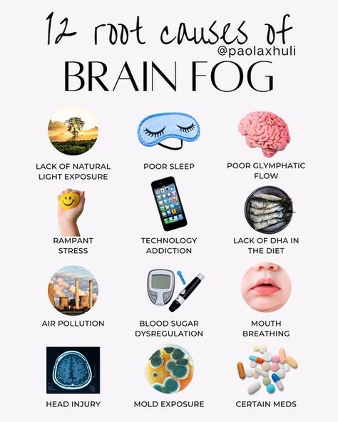 Brain Fog Remedies, Lifestyle Medicine, Executive Functions, Cellular Health, About Brain, Low Estrogen Symptoms, Mold Exposure, Brain Facts, Mental Health Facts