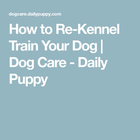 How to Re-Kennel Train Your Dog | Dog Care - Daily Puppy Kennel Training A Puppy, Dog Meds, Meds For Dogs, Veterinary Hospital, Train Your Dog, In The Beginning, Dog Dog, Puppy Training, Training Your Dog