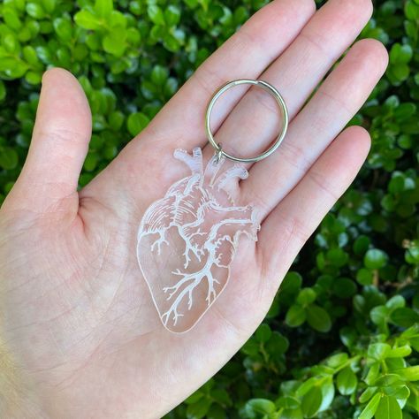 Background Education, Ipad Essentials, Clear Heart, Keychain Ring, Unique Keychains, Medical Art, Anatomical Heart, Pink Acrylic, Pink Acrylics