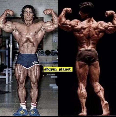 Danny Padilla, Lee Priest, Old Bodybuilder, Dream Physique, Steve Reeves, Gym Photography, Gym Wallpaper, Workout Splits, Gym Workouts For Men