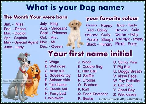 Funny Name Generator, What Is My Name, Fairy Names, Disney Names, Unicorn Names, Fantasy Names, Interactive Posts, Name Games, Funny Names