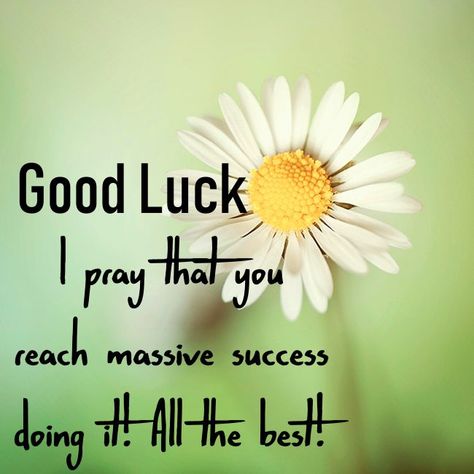 success best wishes quotes Best Of Luck Messages, Wishing Success Quotes, Best Wishes For Success, Good Luck Messages, Best Wishes Quotes, Best Wishes Images, Good Wishes Quotes, Encourage Him, Success Wishes