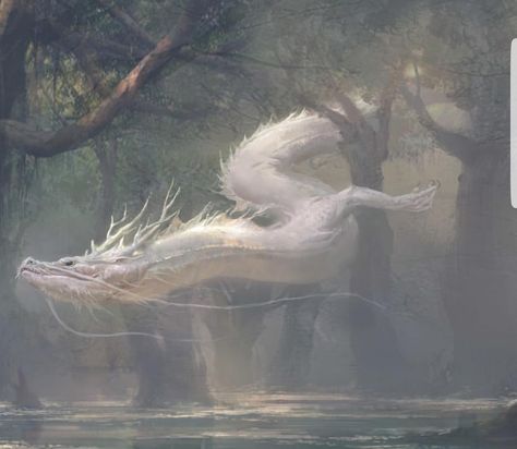 Eastern Dragon, Illustration Fantasy, 다크 판타지, White Dragon, Dragon Artwork, Mythical Creatures Art, Wow Art, Arte Fantasy, My Favorite Image