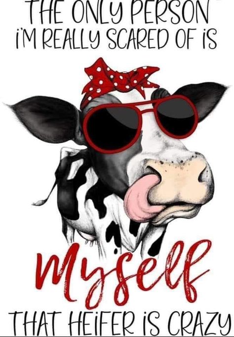 Cow Sayings, Cow Quotes, Retro Cinema, Cafe Living Room, Funny Cow, Custom Tumbler Cups, Cute Shirt Designs, Cows Funny, Tumbler Cups Diy