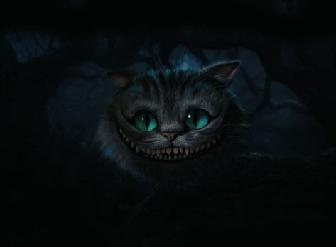 Cheshire Cat, Alice In Wonderland, Cheshire cat #Movies Alice In Wonderland alice in wonderland cheshire cat alice in wonderland movie 2010 stephen fry as the cheshire cat #1080P #wallpaper #hdwallpaper #desktop Cheshire Cat, Tim Burton, A Cat, Blue Eyes, Alice In Wonderland, Close Up, Blue