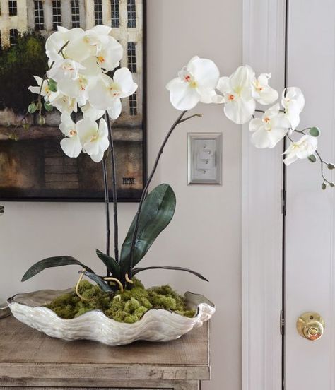 DIY-Orchids in a Clam Shell | Centerpieces for your Home: Diy Orchids, Shell Centerpieces, Indoor Orchids, Shell Diy, Orchid Flower Arrangements, Orchid Centerpieces, Orchid Planters, Shells Diy, Orchids Garden