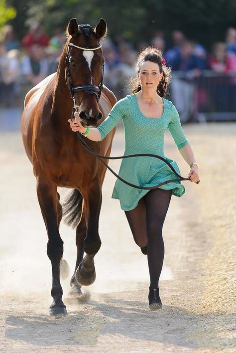 Trot up, dress up ! #Badminton #horse #eventing In Hand Horse Show, Horse Eventing, Autumn Horse, Horse Trails, Horse Showing, Amazing Horses, Horse Trail, Western Riding, Horse Aesthetic