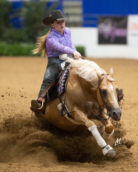 Cool Horse Pictures, Western Reining Horse, Reining Horse Aesthetic, Reining Horses Photography, Reining Outfits, Rodeo Photography, Western Horse Riding, Horse Senior Pictures, Working Cow Horse