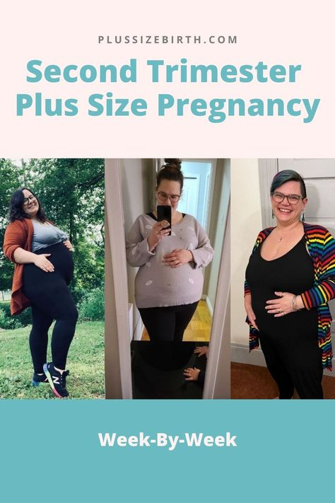 three plus size pregnant women during the second trimester Plus Size Pregnancy Belly Week By Week, Pregnancy Belly Week By Week, Pregnancy Week, Pregnancy Belly, Second Pregnancy, Second Trimester, Trimesters Of Pregnancy, Pregnant Belly, Pregnancy Week By Week