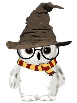 Harry Potter Comforter, Scarf Harry Potter, Owl Harry Potter, Harry Potter Hat, Harry Potter Ornaments, Harry Potter Sorting Hat, Harry Potter Owl, Harry Potter Painting, Harry Potter Classroom