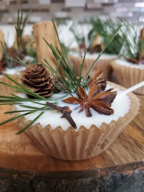 Homemade Fire Starters, Pinecone Candle, Fire Starters Diy, Pine Candle, Homemade Scented Candles, Pine Cone Candles, Mulled Cider, Candle Crafts Diy, Pine Cone Decorations