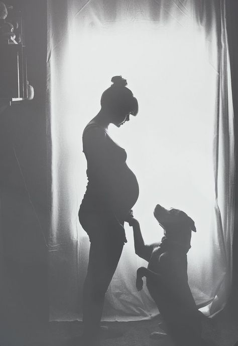 Cute Pregnancy Pictures, Maternity Photography Poses Pregnancy Pics, Baby Announcement Pictures, Photos With Dog, Maternity Photoshoot Poses, Baby Announcement Photos, Shotting Photo, Maternity Photography Poses, Baby Sleep Problems