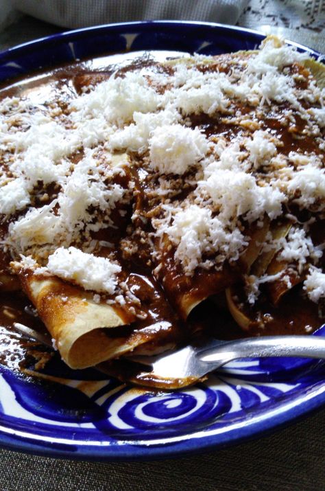 Enchiladas de mole con pollo Enchiladas Aesthetic, Agua Fresca, Mole, Aesthetic Food, French Toast, Toast