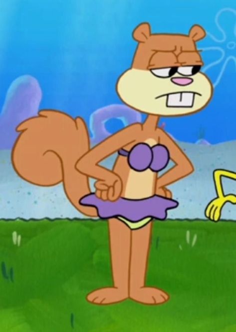 Sandy The Squirrel, Sandy Cheeks Spongebob, Sandy From Spongebob, Spongebob And Sandy, Spongebob Friends, Spongebob Characters, Ur Amazing, Tommy Pickles, Bts Bg