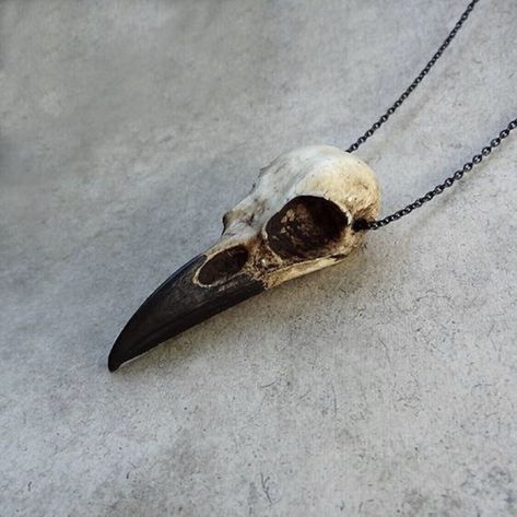 Bone Jewelry Raven Skull Necklace, Viking Pendant Bird Gothic Oddities Jewelry | eBay Bird Skull Necklace, Raven Skull Necklace, Crow Skull, Selling Handmade Items, Raven Skull, Gothic Gifts, Bone Jewelry, Bird Skull, Skull Jewelry