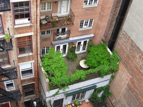 apartment-garden-ideas-to-steal-green-roof-marie-viljoen-gardenista Understory Trees, Green Roof Residential, Climbing Hydrangeas, Apartment Vegetable Garden, Patio Layout Design, Malabar Spinach, Small City Garden, Roof Garden Design, Apartment Balcony Garden