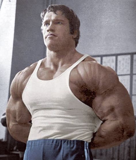 @bodybuilding70s on Instagram: “@schwarzenegger 1971 . #bodybuilding #bodybuilding70s #schwarzenegger #arnoldschwarzenegger #muscle #fitness #health #gym” 70s Bodybuilding, Arnold Workout, Sam Sulek, Arnold Bodybuilding, King Warrior, Old Bodybuilder, Arnold Schwarzenegger Bodybuilding, Aesthetics Bodybuilding, Schwarzenegger Bodybuilding