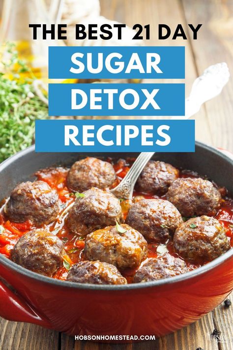 Sugar Free Diet Plan, Sugar Free Eating, Sugar Detox Plan, Sugar Detox Recipes, 21 Day Sugar Detox, Detox Meal Plan, Healthy Hacks, Sugar Free Diet, Quit Sugar