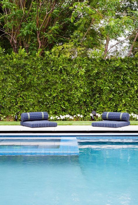 Hedge Wall, Pool Design Ideas, Natural Swimming Ponds, Modern Pool, Small Backyard Ideas, Swimming Pond, Rectangular Pool, Small Fountains, Lap Pool