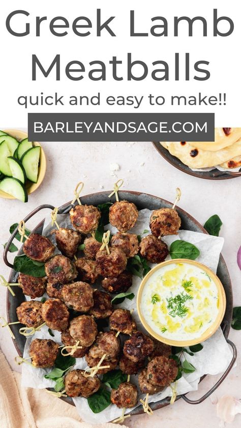 These Greek style lamb meatballs are juicy, flavorful, and ready in just 30 minutes! With tender ground lamb, oregano, cumin, and feta cheese, they're a delicious weeknight dinner or easy lunch! Ground Lamb Recipes For Dinner Easy, Ground Lamb Meatballs, Greek Style Lamb, Lamb Meatballs Recipe, Greek Lamb Meatballs, Lamb Meatballs Greek, Ground Lamb Recipes, Greek Lamb, Feta Cheese Recipes