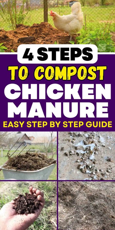 4 Easy Steps to Compost Chicken Manure Compost With Chickens, Composting Chicken Manure, Composting Manure, Wine Barrel Water Feature, Chicken Compost, Barrel Water Feature, Chicken Care 101, Vermicomposting Worm Farm, Chicken Manure Compost