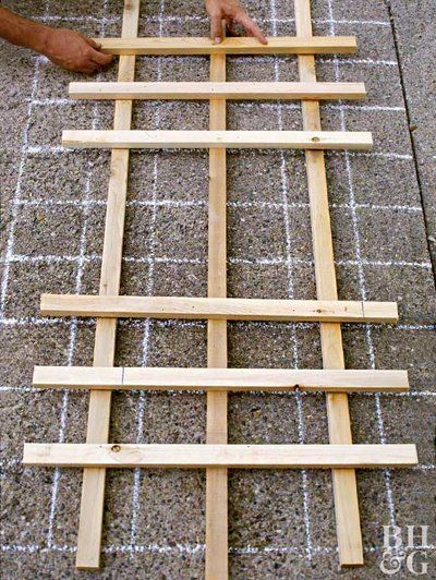 Bean Trellis, Simple Trellis, Building A Trellis, Wall Trellis, Wood Trellis, Diy Garden Trellis, Arbors Trellis, Wooden Trellis, Cheap Pergola