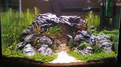 Separating sand from aquasoil areas - The 2Hr Aquarist Aquarium Substrate Ideas, Aquarium Hardscape Ideas, Planted Aquarium Ideas, Hardscape Aquarium, Aesthetic Fishing, Shrimp Tanks, Aquarium Hardscape, Aquarium Inspiration, Fish Tank Ideas