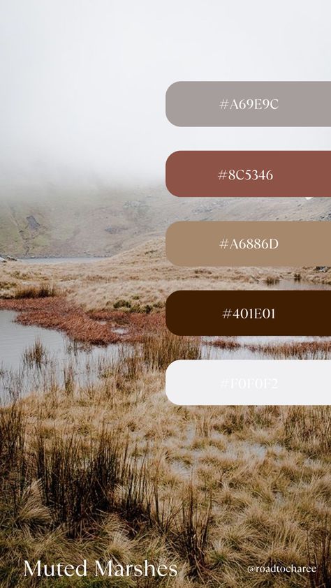 Muted color story inspired by Marshlands. Moody colors. Moody Feminine Color Palette, Muted Boho Color Palette, Moody Color Pallet, Roman Palette, Moody Fall Color Palette, Dark Muted Color Palette, Mushroom Color Palette, Moody Earth Tones, Moody Colour Palette