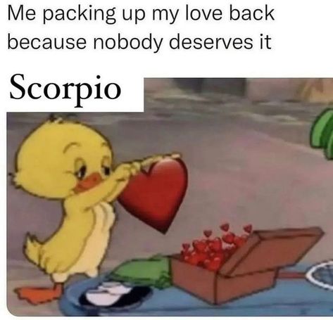 Funny Virgo Quotes Hilarious, Aries And Virgo, Funny Virgo Quotes, Funny Virgo, Taurus Memes, Zodiac Characteristics, Virgo Memes, Quotes Hilarious, Aries Baby