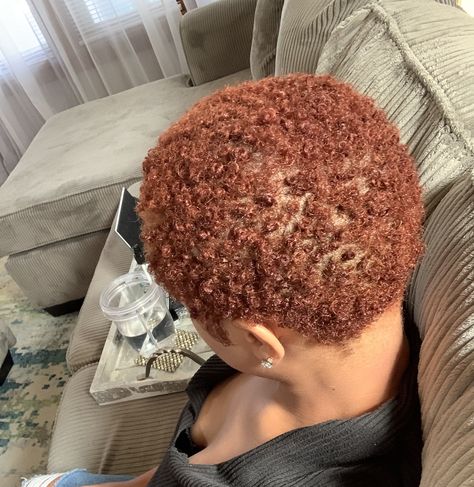 Copper Shaved Hair Black Women, Ginger Big Chop Black Women, Sizzling Copper Hair On Black Women, Short Hair Ginger Black Women, Dyed Bald Hair Black Women, Cut And Dye Black Women, Short Hair Black Women Color, Short Ginger Natural Hair Black Women, Ginger Big Chop