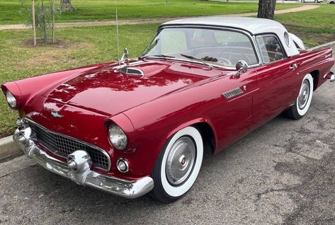 1956 Ford Thunderbird From a Long-Term Owner 1966 Ford Thunderbird, 1965 Thunderbird, Ford Thunderbird 1955, 1959 Ford Thunderbird, Thunderbird Car, 1956 Ford Thunderbird, Different Shades Of Red, Christmas Painting, American Classic Cars