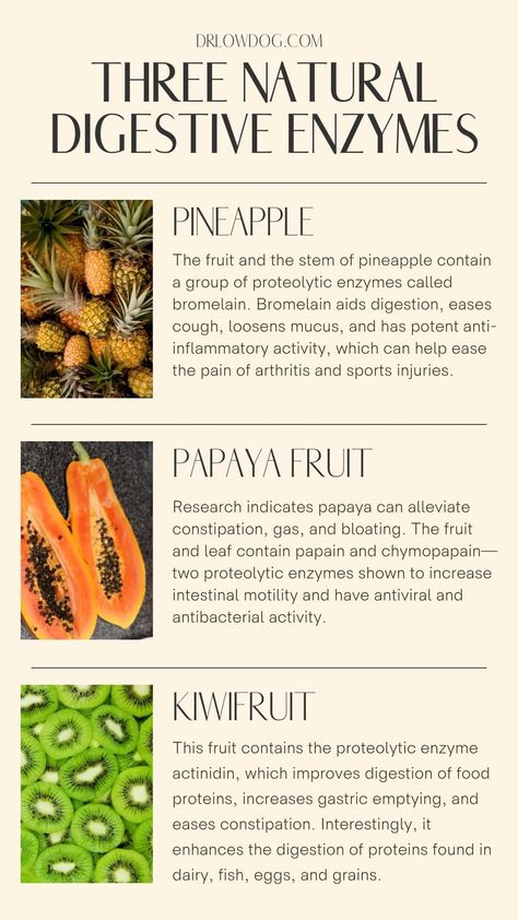 Proton Pump Inhibitors, Pineapple Drinks, Food For Digestion, Papaya Fruits, Stomach Acid, Kiwi Fruit, Traditional Medicine, Digestive Enzymes, Alternative Health