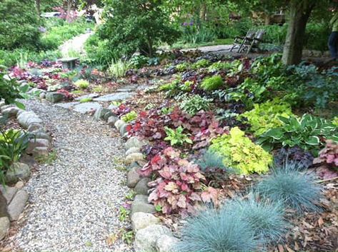 Heuchera (Coral Bells) - Easy to Grow as a Shade Garden Plant . photo of Coral bells taken by Janie Newton Teel on a Garden Tour of Stott Garden in Goshen Indiana. Coral Bells, with all of their beautiful blends of colors, work very well planted in the shade with Hosta and planted in sun or part sun with grasses, like the Blue Fescue shown here. Green or whiter Heuchera prefer shadier sites. Heuchera with darker colors, like the deep reds and dark purples work well in part shade or sun. Landscaping Potted Plants, Ida Maria, Easy Landscaping Front Yard, Tiger Landscape, Coral Bells Plant, Landscape Front Yard, Goshen Indiana, Coral Bells Heuchera, Shade Loving Plants