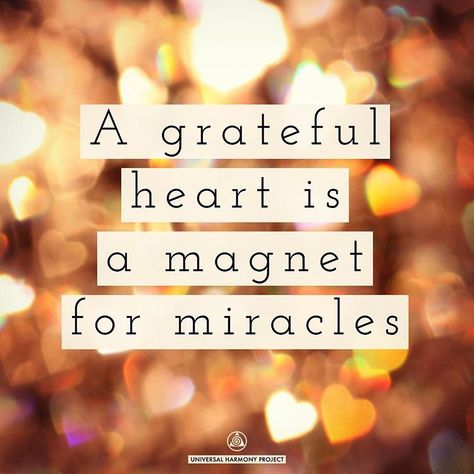 A grateful heart is a magnet for miracles #grateful #miracles #mondayquotes #mondaymorning #love #universalharmonyproject Mind Over Matter Quotes, Louise Hay Quotes, Gabrielle Bernstein, Positivity Board, Matter Quotes, Gratitude Affirmations, Monday Quotes, Mind Over Matter, Law Of Attraction Quotes