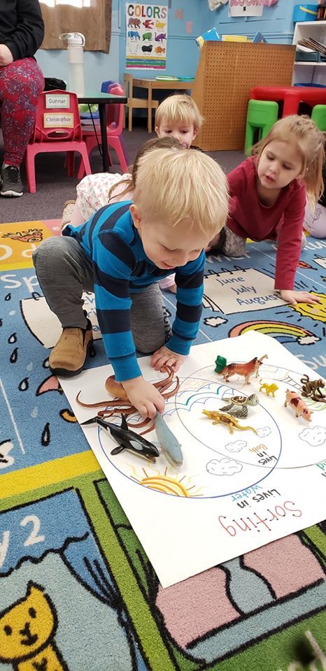 Land Animals Preschool Activities, Animal Science Projects, Animals Live In Water, Where Animals Live, Zoo Animals Preschool, Preschool Zoo Theme, Animal Sorting, Zoo Preschool, Animals And Their Homes