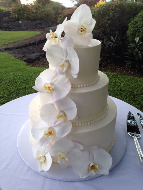 White Cake With Orchids, White Orchid Wedding Cake, Mexican Wedding Centerpieces, Caribbean Wedding Theme, Plain Wedding Cakes, Elegant White Wedding Cake, Wedding Door Decorations, Sparkle Wedding Cakes, Weding Decoration