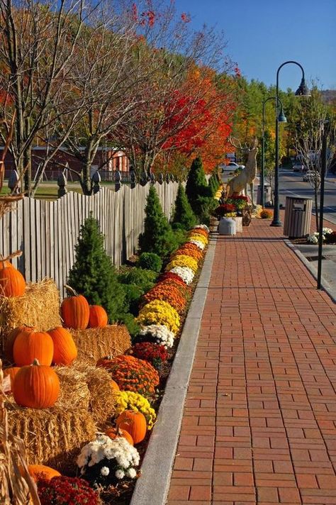 Fall Landscaping, Pumpkins And Gourds, Outside Fall Decor, Halloween Tattoo, White Picket Fence, Autumn Decorating, Fall Outdoor Decor, Welcome Fall, Autumn Scenery