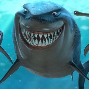 Bruce | Pixar Wiki | FANDOM powered by Wikia Kid Friendly Movies, Finding Nemo Characters, Sharkboy And Lavagirl, Shark Tale, Disney Finding Nemo, Sharks For Kids, Shark Bait, Soul Surfer, Leagues Under The Sea