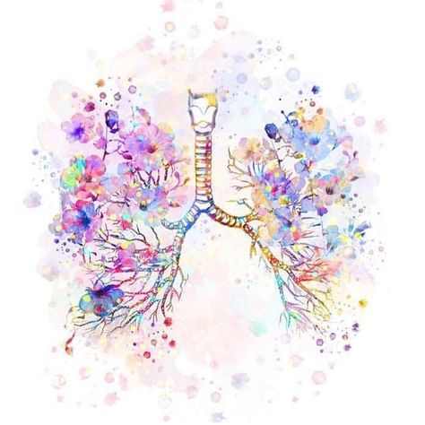 18 Likes, 1 Comments - Cystic Fibrosis WA (@cfwayouth) on Instagram: “Just breathe...how beautiful is this artwork via @nurse_coach_mx ✨” Lungs Anatomy, Lungs Art, Tatoo Dog, Lung Anatomy, Medicine Art, Med Student Gift, System Wallpaper, Clinic Decor, Look Wallpaper