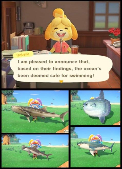 Funny Acnh, Funny Animal Crossing, Acnh Funny, Animal Crossing Funny, Animal Crossing Fan Art, Animal Crossing Memes, Animal Crossing Characters, Animal Crossing Villagers, New Animal Crossing