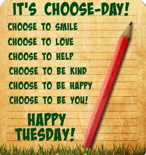 Quotes About Tuesday, Tuesday Quotes Funny, Tuesday Motivation Quotes, Happy Tuesday Pictures, Happy Tuesday Images, Happy Tuesday Morning, Tuesday Quotes Good Morning, Happy Tuesday Quotes, Good Morning Tuesday