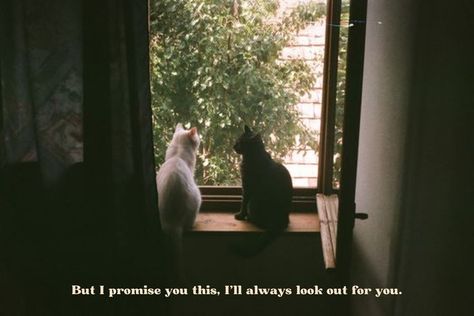 Sparks By Coldplay, Urdu Aesthetic, Fun Aesthetic, Art Pretty, Film Aesthetic, Pretty Cats, Always Be