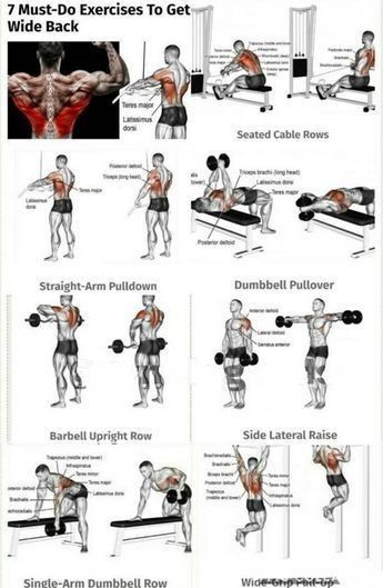 Back Weight Exercises, Back Workout Routine, Shoulder Workout Routine, Good Back Workouts, Gym Workouts For Men, Workout Posters, Muscle Building Workouts, Weight Training Workouts, Chest Workouts