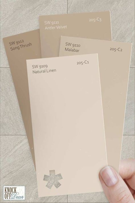 Sherwin Williams Mocha Paint, Sw 6085 Simplify Beige, Beige Paint Palette, Driftscape Tan Paint, Sherwin Williams Sackcloth, Light Khaki Paint Color, Linen Colored Walls, She Twin Williams Natural Linen, Cappuccino Paint Color