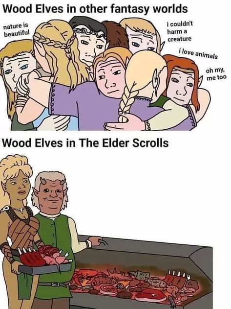 The best Elves memes :) Memedroid Elder Scrolls Elves, Skyrim Nord, Elf Meme, Elf Memes, Elder Scrolls Memes, Skyrim Funny, Elder Scrolls Games, Skyrim Art, Elder Scrolls Art