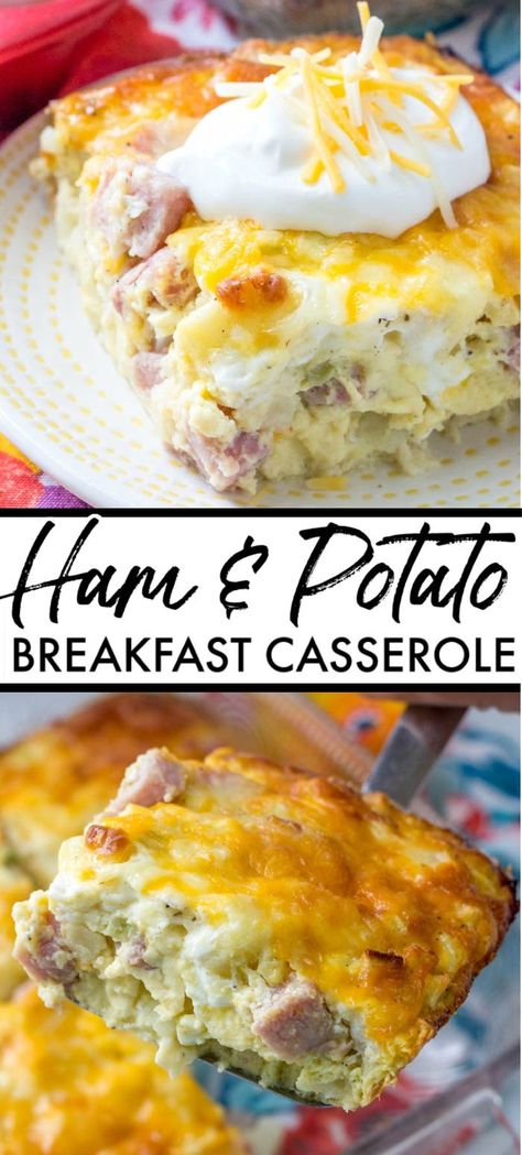 Breakfast Casserole Ham, Potato Breakfast Bake, Breakfast Casserole With Ham, Crowd Meals, Casserole With Ham, Freezer Casseroles, Travel Meals, Ham Breakfast Casserole, Casserole Breakfast