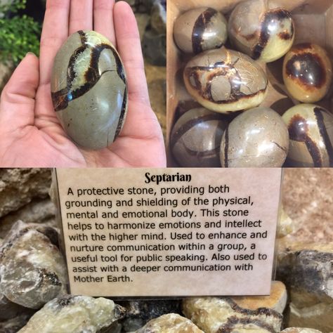 Septarian Stone Meaning, Crystal Identification, Stone For Protection, Septarian Stone, Healing Rocks, Crystal Vibes, Cleansing Crystals, Crystals Healing Properties, Raw Crystals