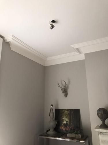 Could do this around window Victorian plaster coving Coving Ideas Living Rooms, Coving Ideas, Plaster Ceiling Rose, Plaster Coving, Ceiling Coving, Cove Ceiling, Plaster Cornice, Vanity Shelf, Vanity Shelves