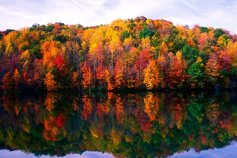 Things To Do In Virginia In The Fall, West Virginia Fall Road Trip, Virginia Fall Foliage, Fall Foliage Washington State, West Virginia Fall Foliage, Fall Places, Color Calendar, Changing Aesthetic, California Fall